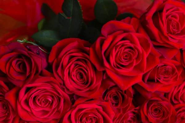 Фон Цветы Красных Роз День Святого Валентина Матери — стоковое фото