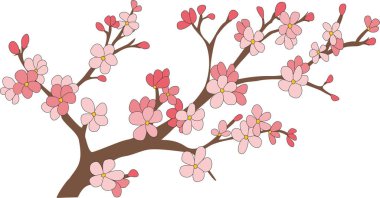 Çiçekli sakura, çiçek açan kiraz ağacı, sakura vektör illüstrasyonu, çiçek deseni