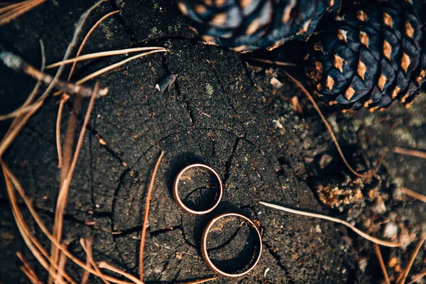 Svatební den podrobnosti — Stock fotografie