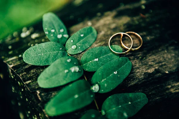 Wedding day details — Stock Photo, Image