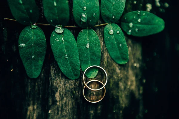 Detalhes do dia do casamento — Fotografia de Stock