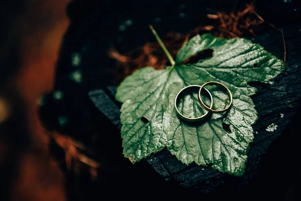 Detalhes do casamento — Fotografia de Stock