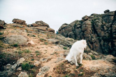 Dışarıda mutlu bir aile