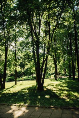 Moskova şehir parkları