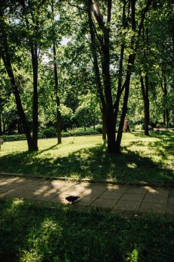 Moskova şehir parkları