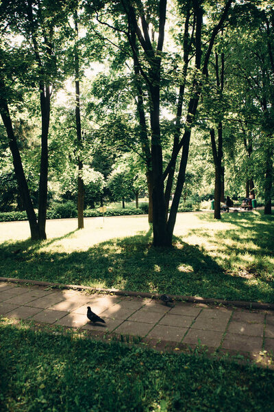 Moscow city parks at summer