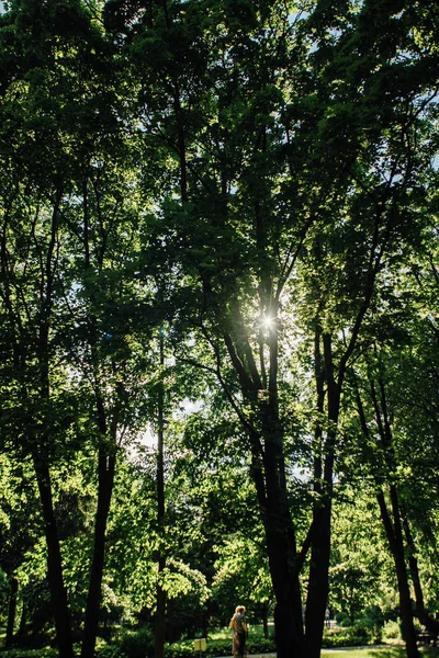 Moscow city parks — Stock Photo, Image