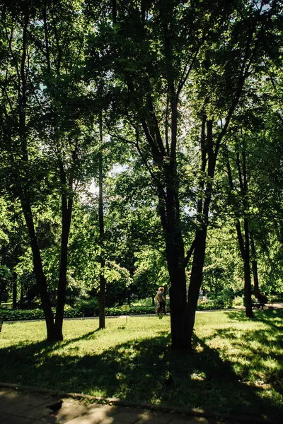 Moscow city parks — Stock Photo, Image