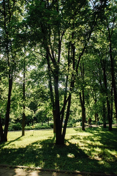 Московський літній парк — стокове фото