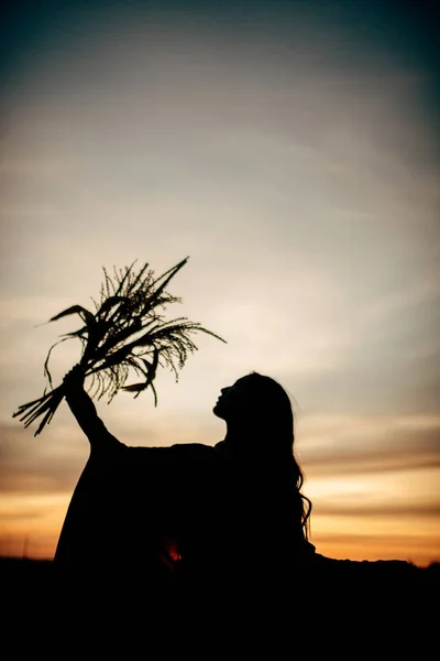 Silhueta de menina ao pôr do sol — Fotografia de Stock