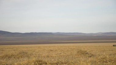 Tarımda tarım teknikleri, hasat konsepti.  
