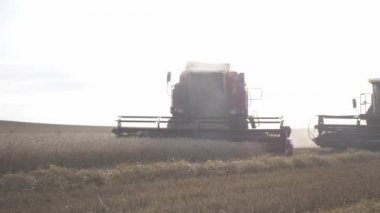 Tarımda tarım teknikleri, hasat konsepti.  