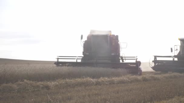 Techniques d'agriculture arable dans les champs agricoles, concept de récolte   
