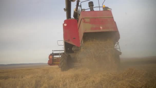 Agriculture Récolte Blé Ferme — Video