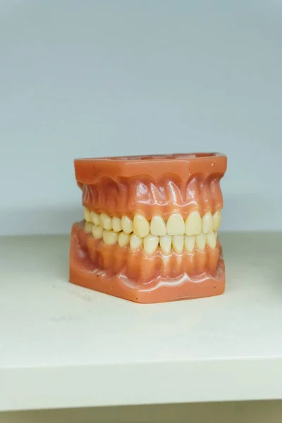 Amostra Gesso Individual Mandíbula Close Odontologia Processo Detalhes Conceito — Fotografia de Stock