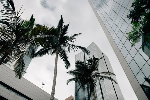 Vista Ángulo Bajo Del Paisaje Urbano Ciudad Hong Kong China — Foto de Stock