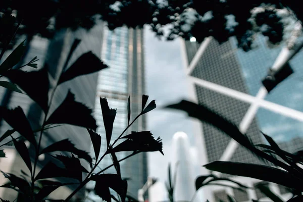 Vista Ángulo Bajo Del Paisaje Urbano Ciudad Hong Kong China —  Fotos de Stock