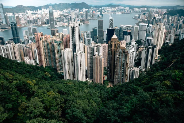 香港城市景观全景 — 图库照片