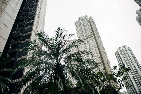 Vista Ángulo Bajo Del Paisaje Urbano Ciudad Hong Kong China — Foto de Stock