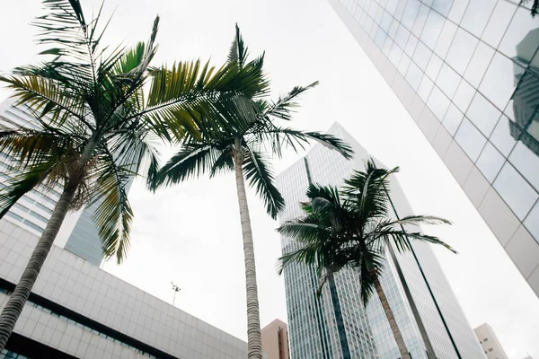 Vista Ángulo Bajo Del Paisaje Urbano Ciudad Hong Kong China — Foto de Stock