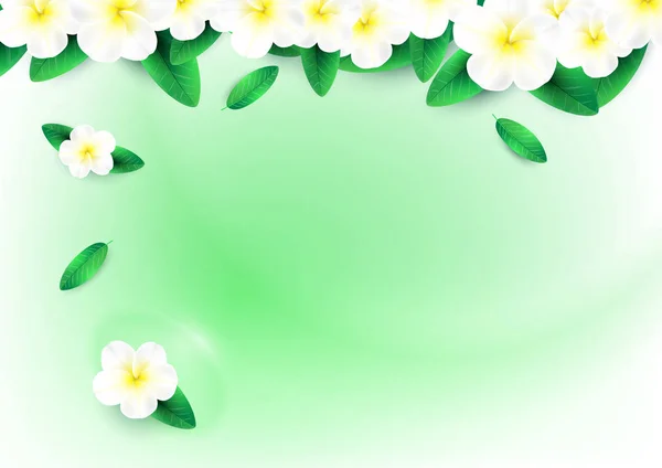 Plumeria flores en verde agua spa concepto de diseño de fondo — Vector de stock