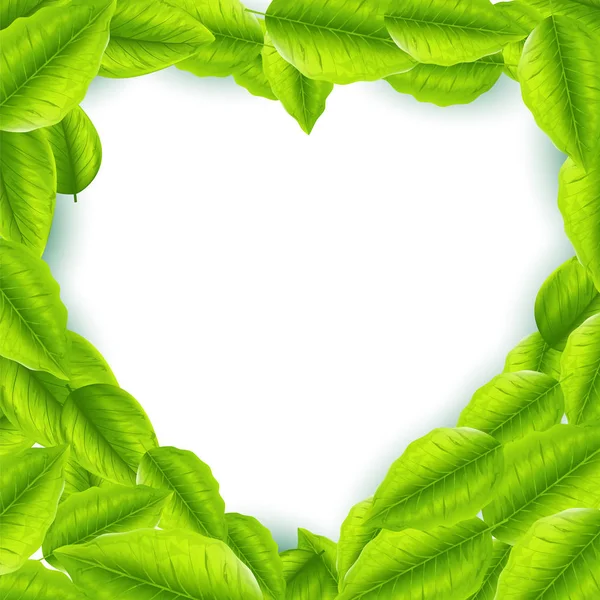 Φρέσκα πράσινα φύλλα με κορνίζα σε σχήμα καρδιάς — Διανυσματικό Αρχείο