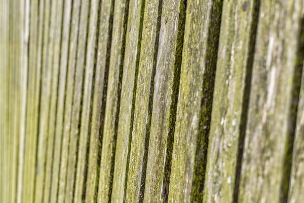Staré a opotřebované nátěr na dřevo pozadí. — Stock fotografie