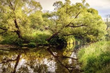 Akşamları, willow ağaçlar ve çalılar arasında akan sakin Nehri