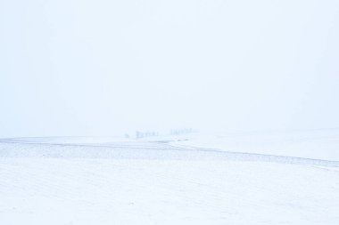 Kış kar minimalist manzarası