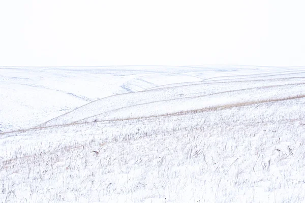 Wintersneeuw minimalistisch landschap — Stockfoto