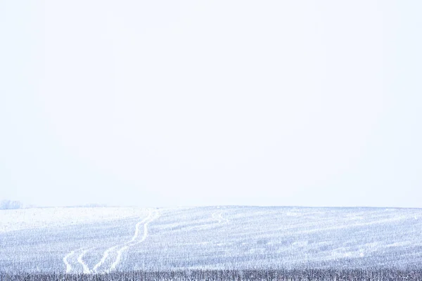 Winterschnee minimalistische Landschaft — Stockfoto