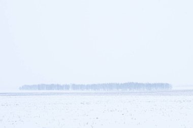 Kış kar minimalist manzarası