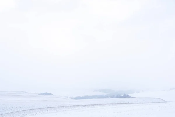 Winterschnee minimalistische Landschaft — Stockfoto