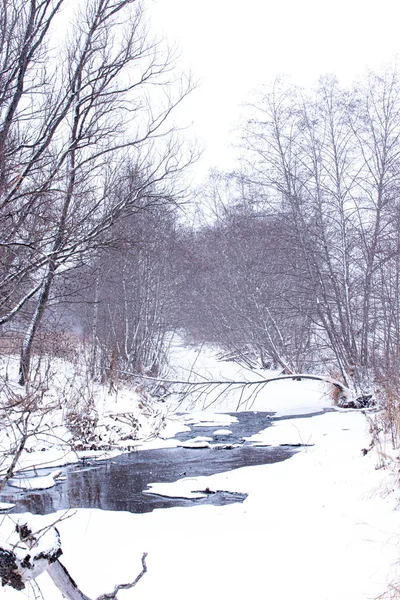 Winterliche Schneelandschaft mit nicht gefrorenem Flüsschen und Bäumen. — Stockfoto