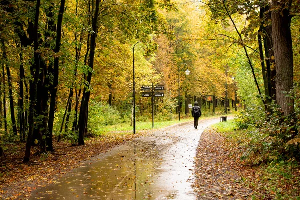 City park with walking people in autumn day