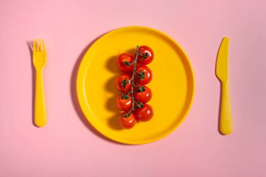 Pembe arka planda sarı bir plaka üzerinde kırmızı domates dalı. Düz yatıyordu.