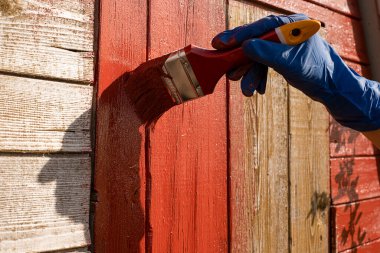 Ahşap yüzeyi kırmızı-kahverengi boyayla boyuyorum. Restorasyon, onarım, ahşap tahtaların korunması. Doğal ışık. El ve fırça.