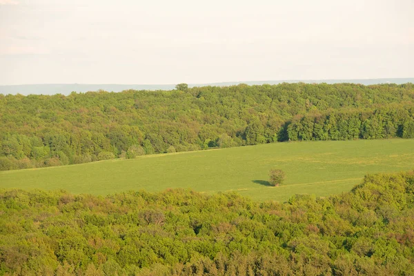 Green Field Trees Summer Spring Day Aerial Photographs Countryside Landscape — Stock Photo, Image