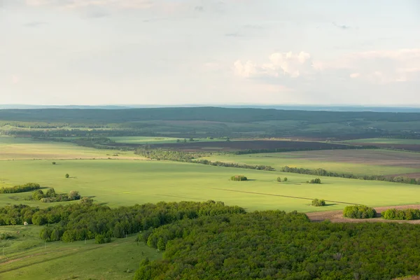 Grüne Wiese Mit Bäumen Sommer Frühlingstag Luftaufnahmen Landschaft Auf Dem — Stockfoto