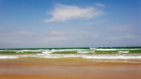 Golfo do México Ondas do Oceano na Ilha South Padre, Texas Imagem De Stock