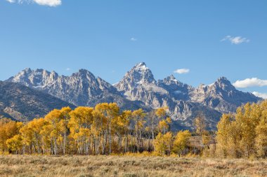 Sonbaharda doğal Tetons