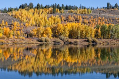 Sonbahar manzara yansıma