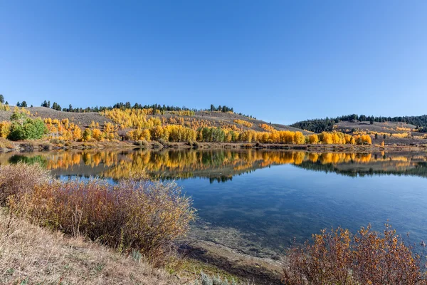 Herfst landschap reflectie — Stockfoto