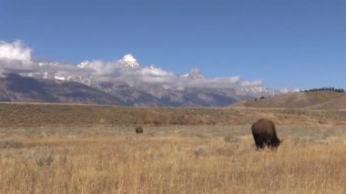 Arkansas Nehri gündoğumu
