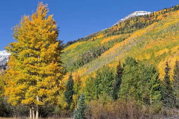 秋の山の風景 — ストック写真