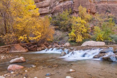 Virgin River Güz