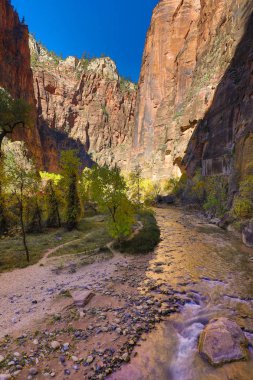 Zion National Park sonbahar manzara