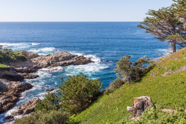 Sağlam güzel Kaliforniya sahili