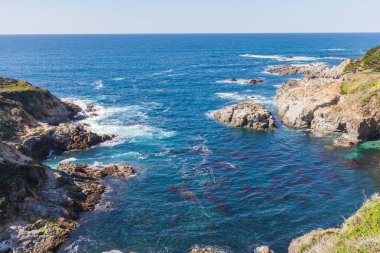 Sağlam güzel Kaliforniya sahili