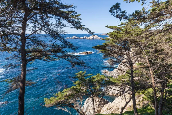 Rugged Beautiful California Coast — Stock Photo, Image